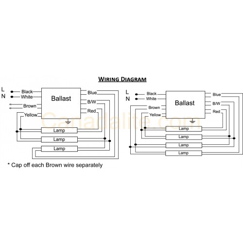 Image Result For 0 10 Dimming Ballast Wiring Diagram